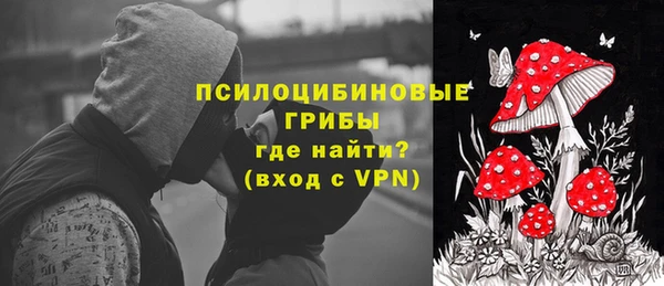 прущие крисы Алзамай