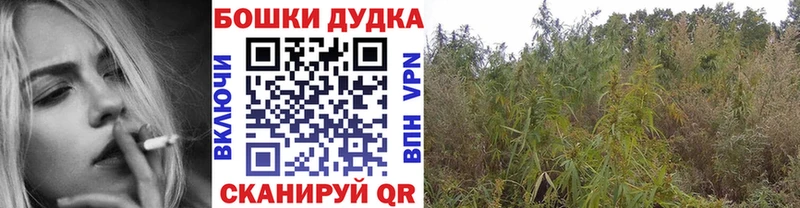 Шишки марихуана семена Черноголовка